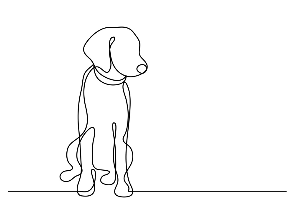 outline of dog 