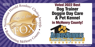 Alden's Kennels Dog Training,IL,Best of the Fox