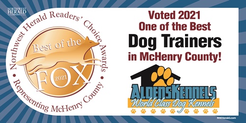 Best of the Fox Award McHenry County IL
